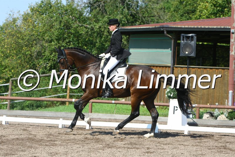 109M6197_Sir Arthur_Nachwuchs_Dress S.JPG